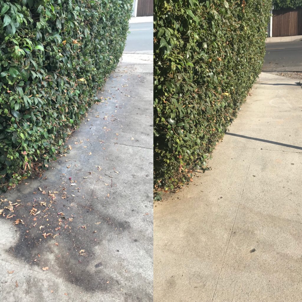 grounds cleaning and power washing